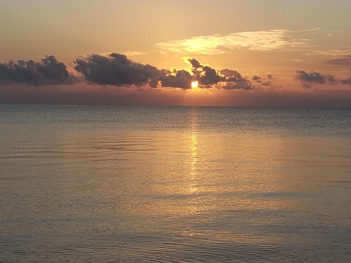 Pal'S On The Beach - Dangriga, Belize 외부 사진