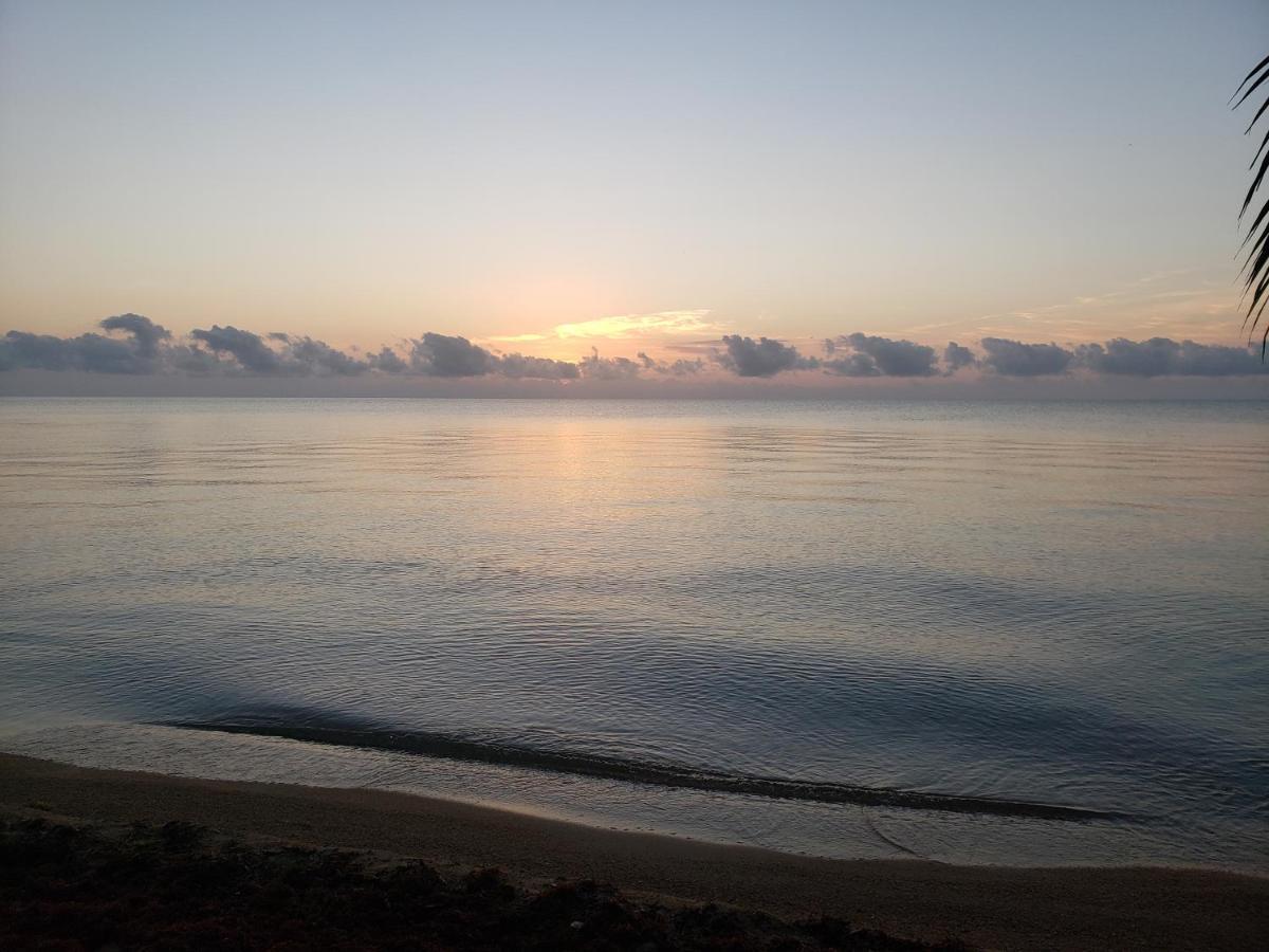 Pal'S On The Beach - Dangriga, Belize 외부 사진