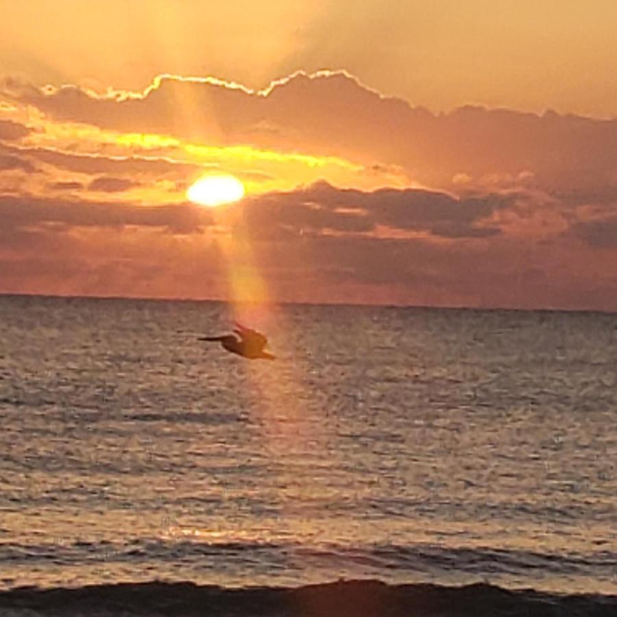 Pal'S On The Beach - Dangriga, Belize 외부 사진