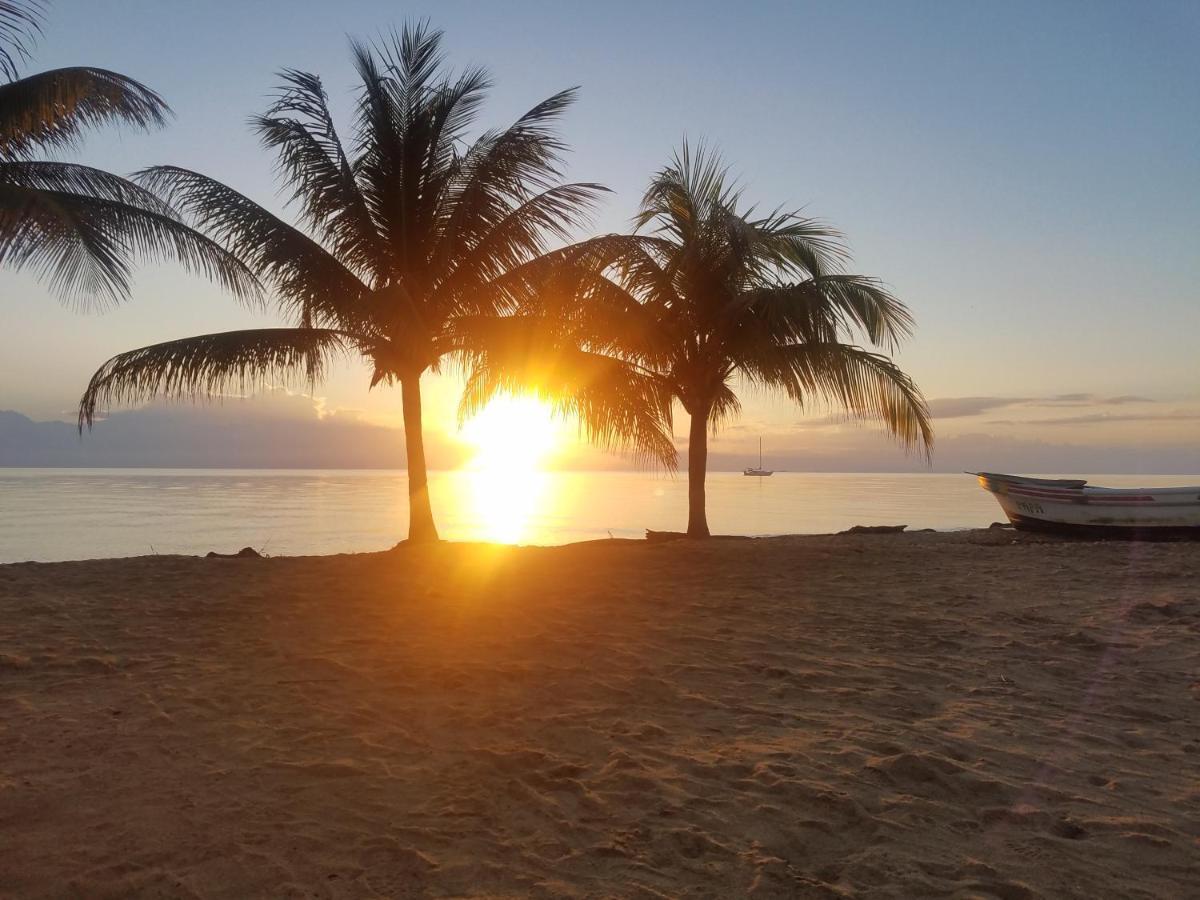 Pal'S On The Beach - Dangriga, Belize 외부 사진