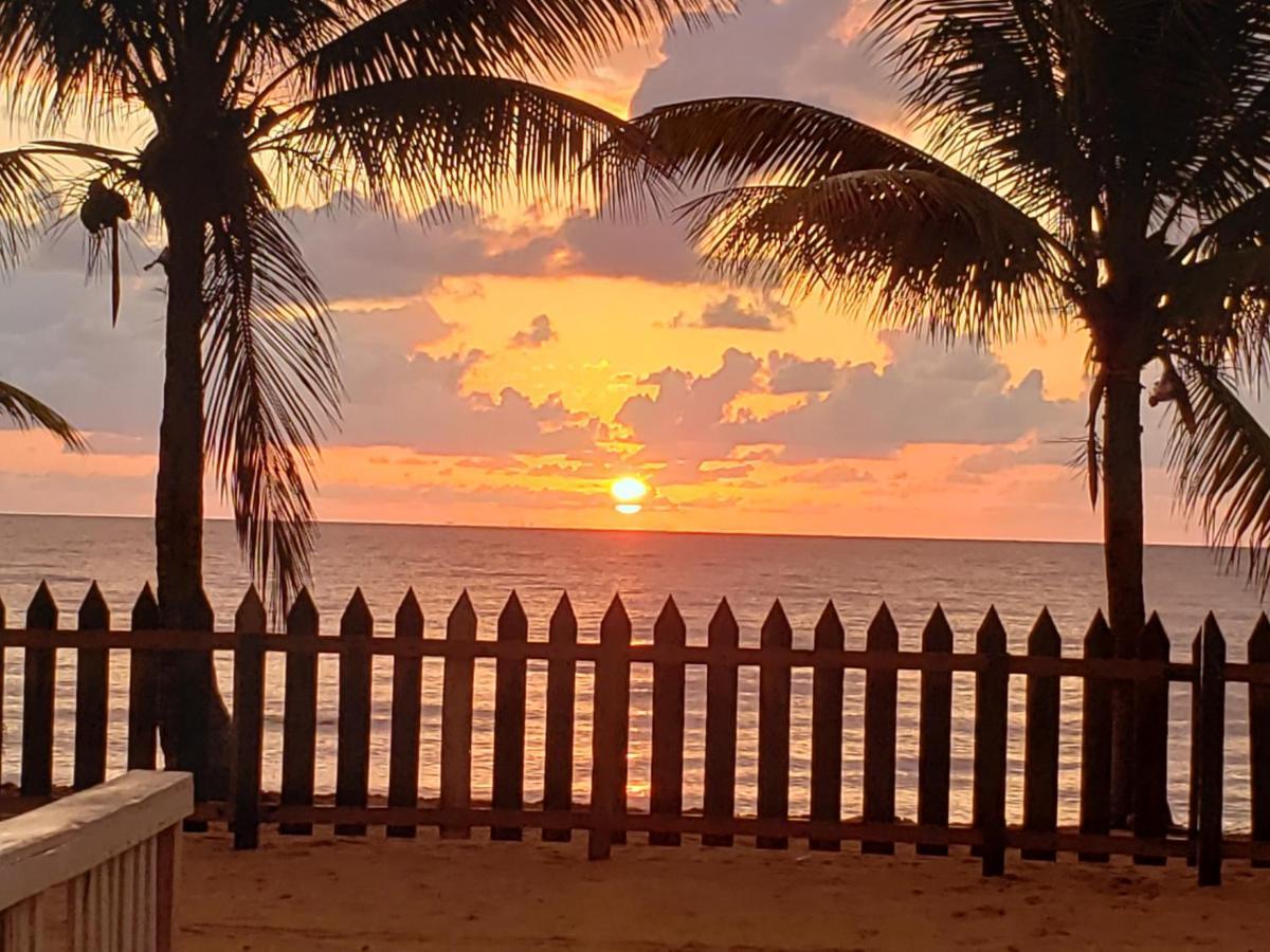 Pal'S On The Beach - Dangriga, Belize 외부 사진