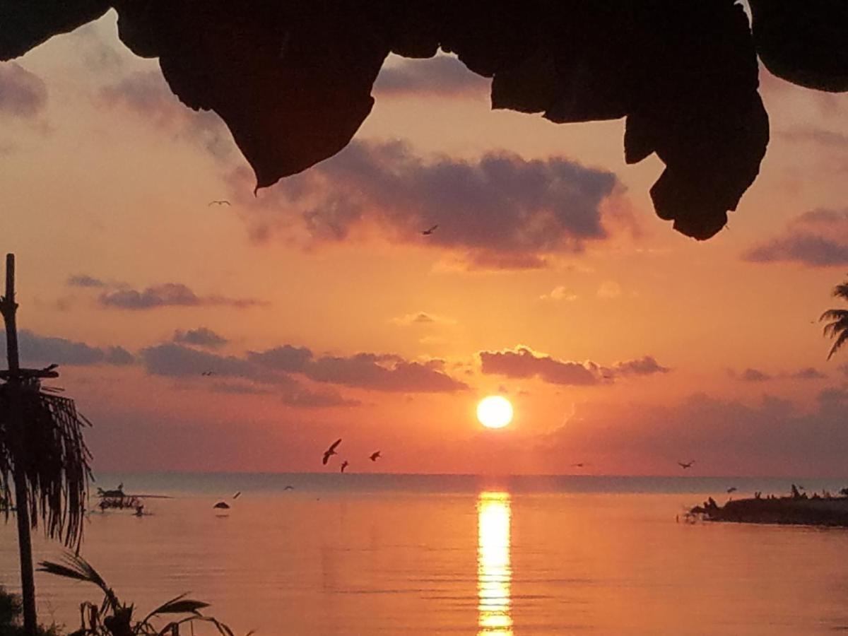 Pal'S On The Beach - Dangriga, Belize 외부 사진