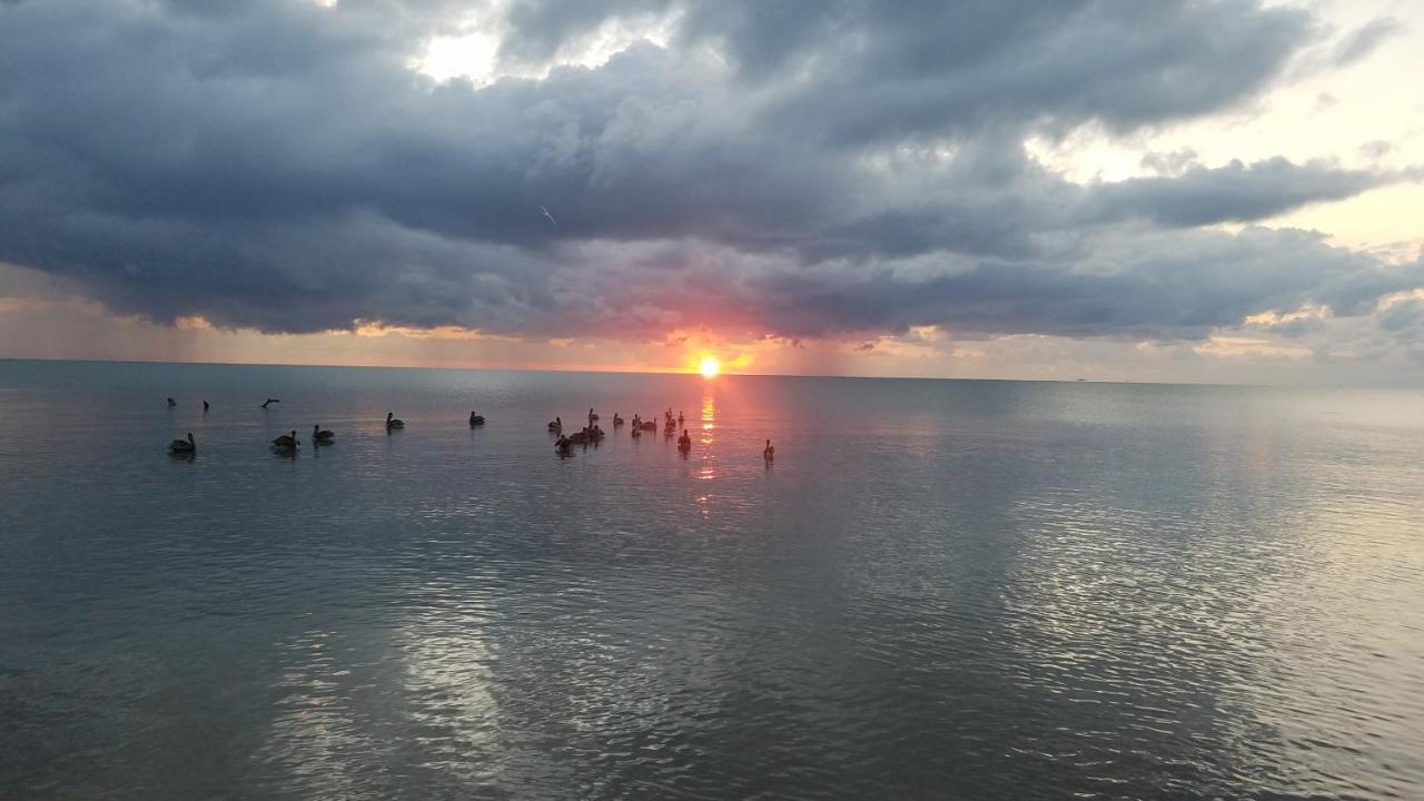 Pal'S On The Beach - Dangriga, Belize 외부 사진