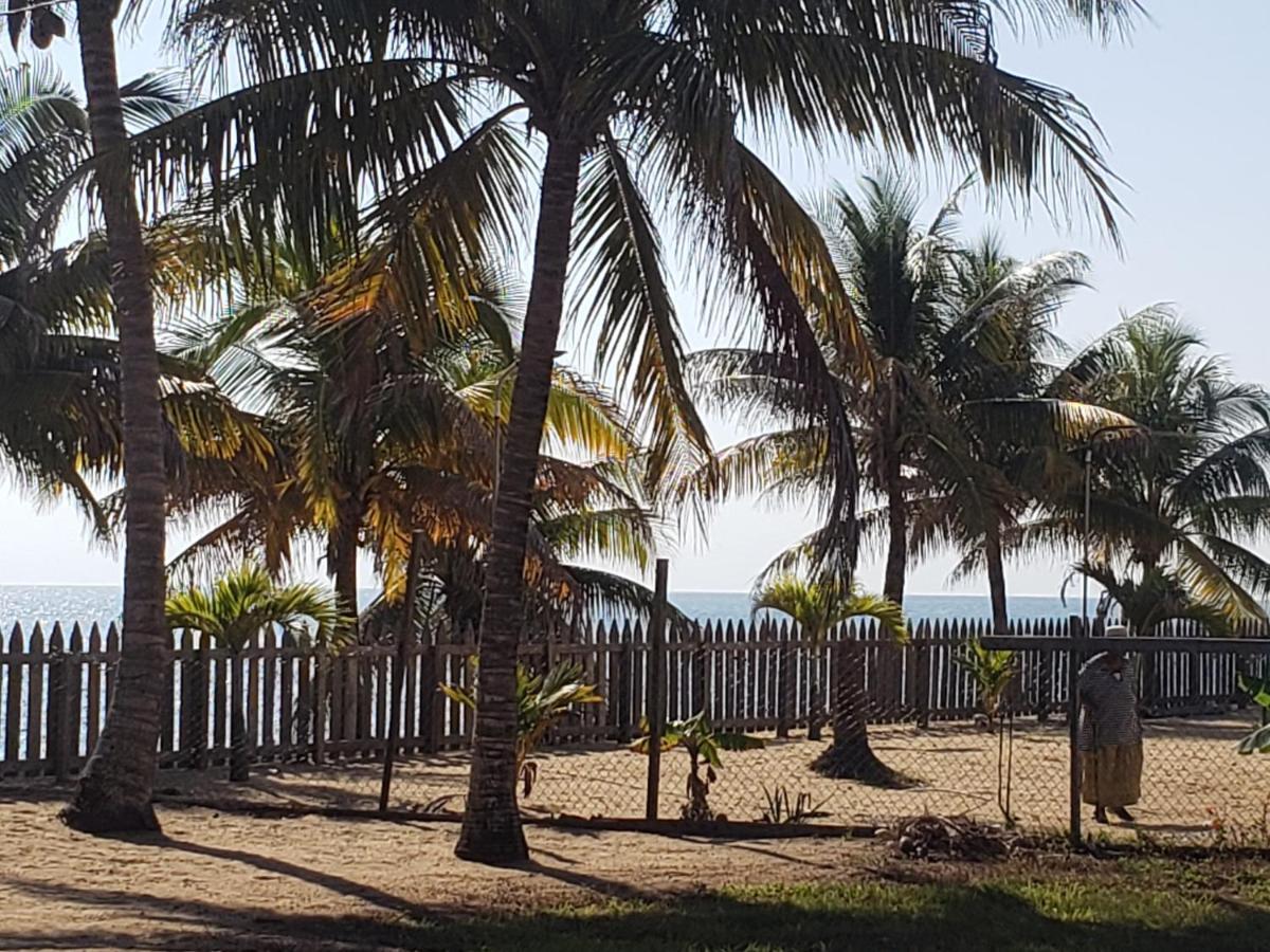 Pal'S On The Beach - Dangriga, Belize 외부 사진